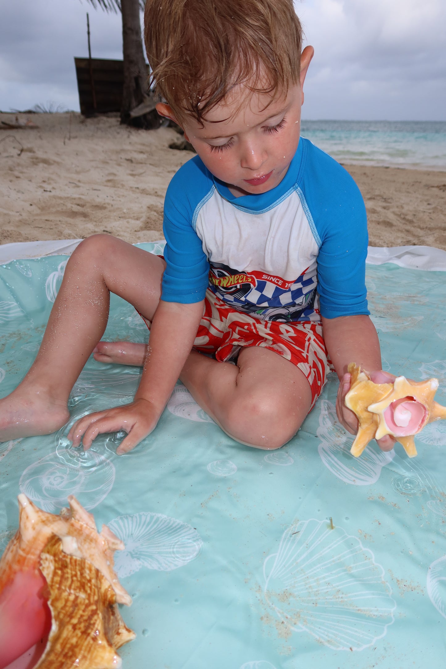 The Complete Beach Bundle: Everything Beach Bag, Solo Traveller & Beach Pool
